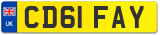 CD61 FAY