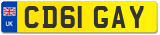 CD61 GAY