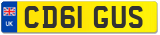 CD61 GUS