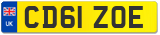 CD61 ZOE