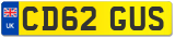 CD62 GUS