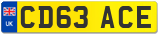 CD63 ACE