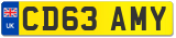 CD63 AMY