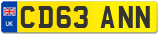 CD63 ANN