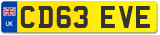 CD63 EVE