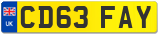 CD63 FAY