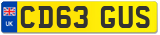 CD63 GUS