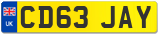 CD63 JAY