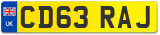 CD63 RAJ