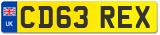 CD63 REX