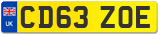 CD63 ZOE