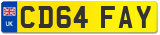 CD64 FAY