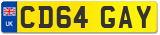 CD64 GAY