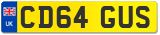 CD64 GUS