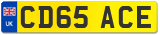 CD65 ACE