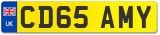 CD65 AMY