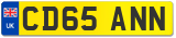 CD65 ANN