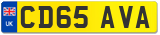 CD65 AVA