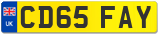 CD65 FAY