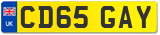 CD65 GAY