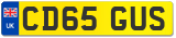 CD65 GUS