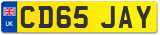 CD65 JAY