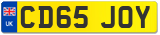 CD65 JOY