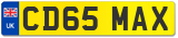 CD65 MAX