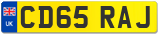 CD65 RAJ