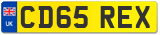 CD65 REX