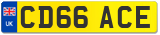 CD66 ACE