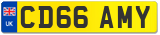 CD66 AMY