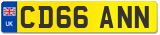 CD66 ANN