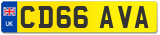 CD66 AVA