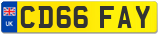 CD66 FAY