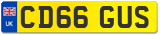 CD66 GUS