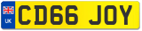 CD66 JOY