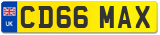 CD66 MAX