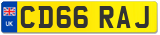 CD66 RAJ