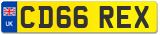 CD66 REX