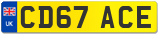 CD67 ACE