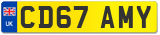 CD67 AMY