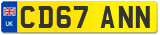 CD67 ANN