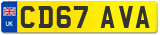 CD67 AVA