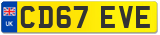 CD67 EVE