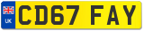 CD67 FAY