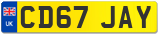 CD67 JAY