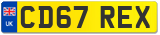 CD67 REX