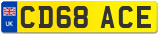 CD68 ACE