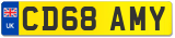 CD68 AMY